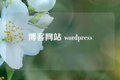 博客网站 wordpress