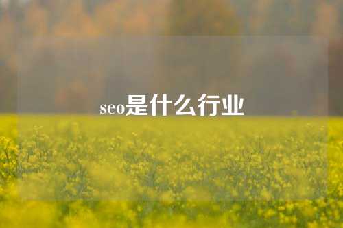 seo是什么行业