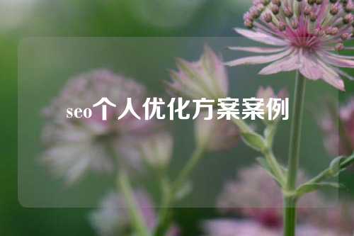 seo个人优化方案案例