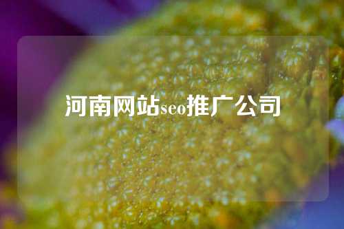 河南网站seo推广公司