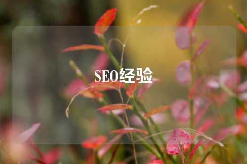 SEO经验