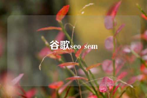 谷歌seo sem