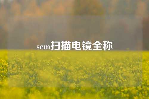 sem扫描电镜全称