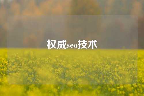 权威seo技术