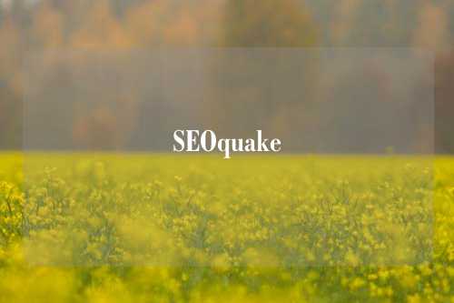 SEOquake