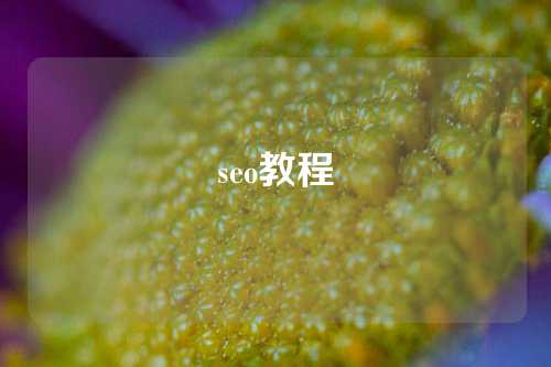 seo教程