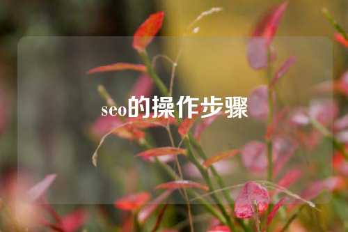 seo的操作步骤