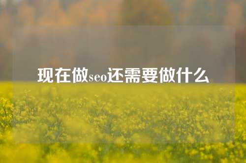 现在做seo还需要做什么