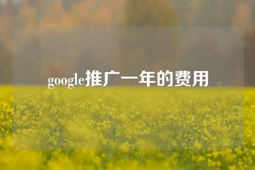 google推广一年的费用