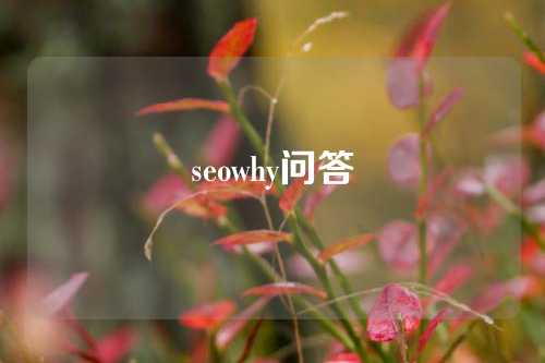 seowhy问答