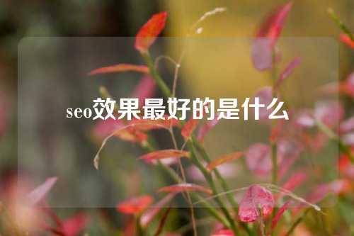 seo效果最好的是什么