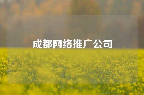 成都网络推广公司