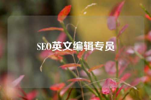 SEO英文编辑专员