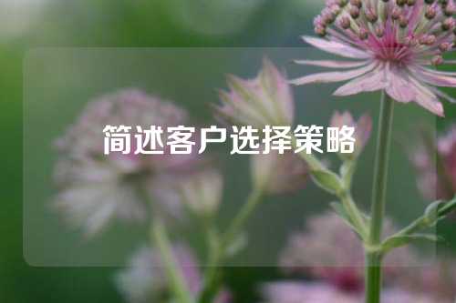 简述客户选择策略