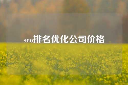 seo排名优化公司价格