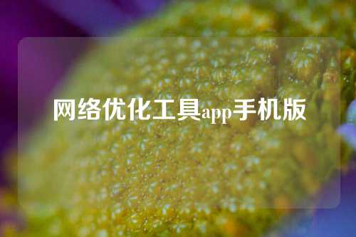 网络优化工具app手机版