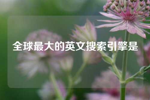 全球最大的英文搜索引擎是