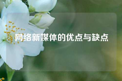 网络新媒体的优点与缺点