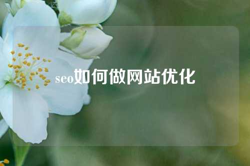 seo如何做网站优化