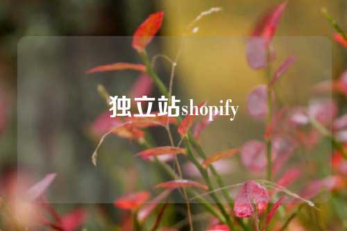 独立站shopify