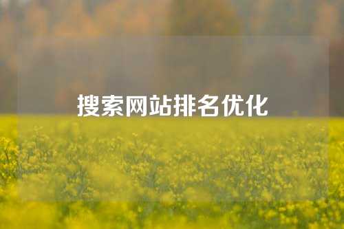 搜索网站排名优化