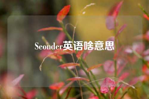 Seonder英语啥意思