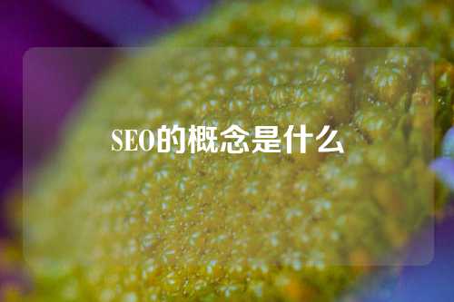 SEO的概念是什么