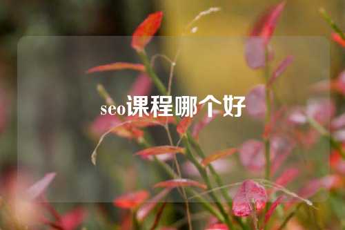 seo课程哪个好