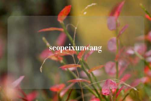 seopeixunwang