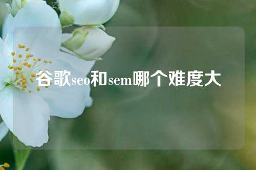 谷歌seo和sem哪个难度大