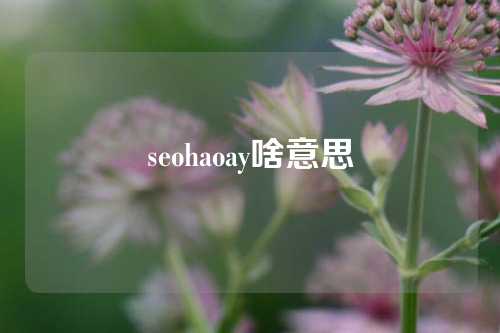 seohaoay啥意思