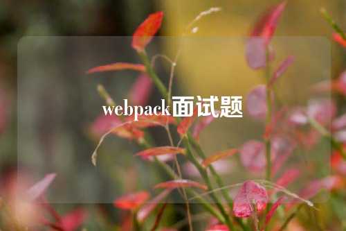 webpack面试题