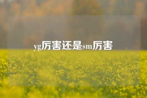 yg厉害还是sm厉害