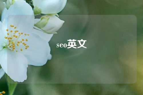 seo英文