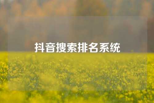 抖音搜索排名系统