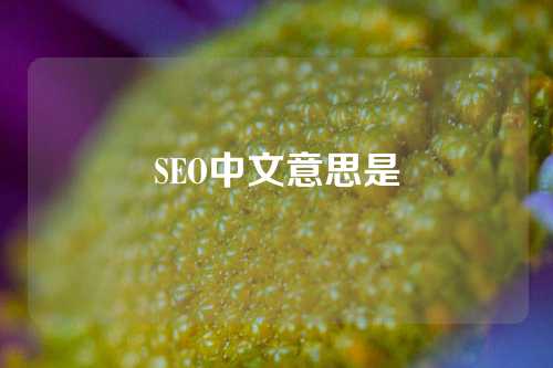 SEO中文意思是