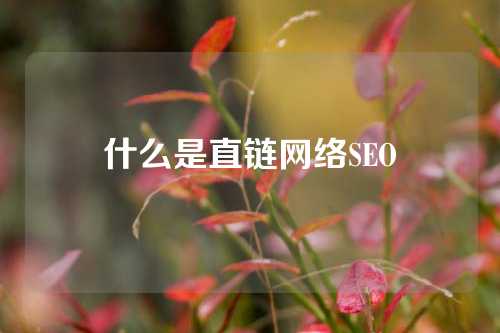 什么是直链网络SEO