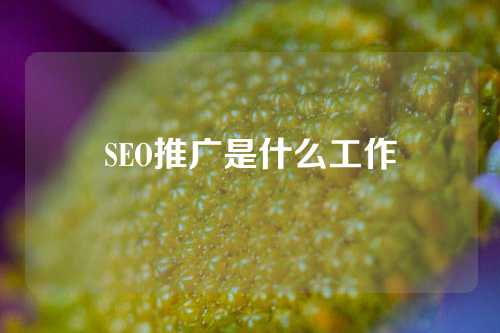 SEO推广是什么工作