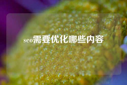 seo需要优化哪些内容