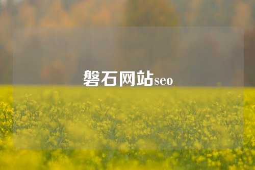 磐石网站seo