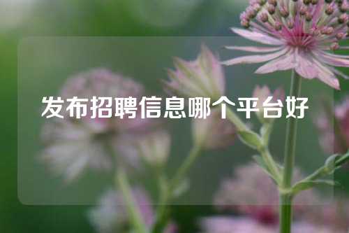 发布招聘信息哪个平台好