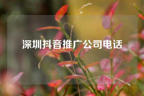 深圳抖音推广公司电话