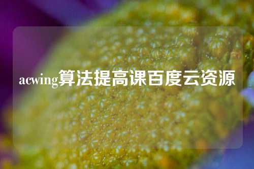 acwing算法提高课百度云资源