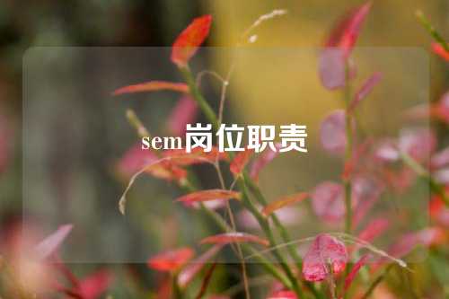 sem岗位职责