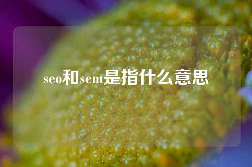 seo和sem是指什么意思