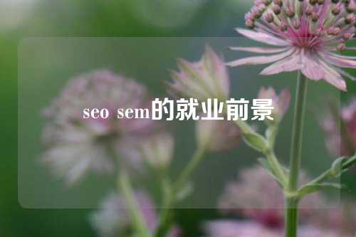 seo sem的就业前景