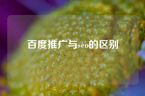 百度推广与seo的区别