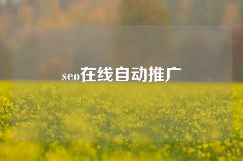 seo在线自动推广