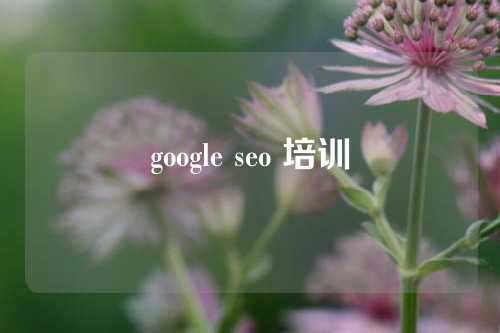 google seo 培训