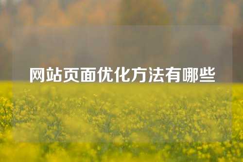 网站页面优化方法有哪些